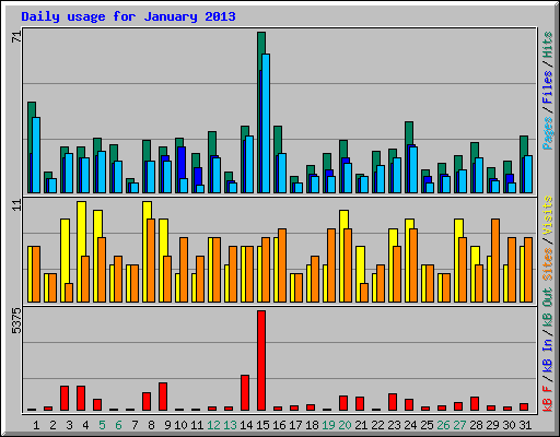 Daily usage for January 2013