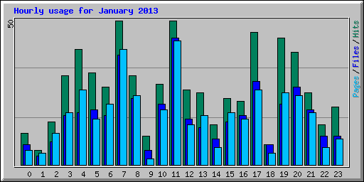 Hourly usage for January 2013