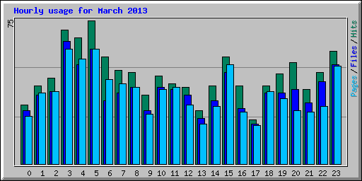 Hourly usage for March 2013