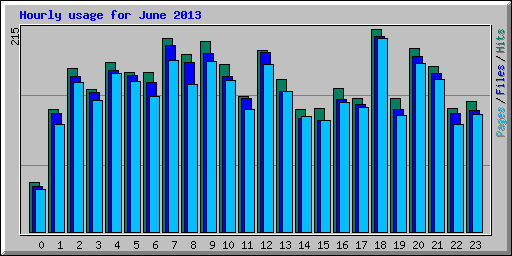 Hourly usage for June 2013