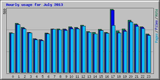 Hourly usage for July 2013