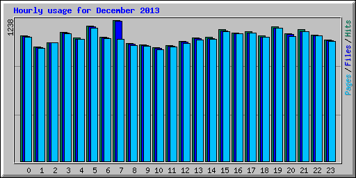 Hourly usage for December 2013